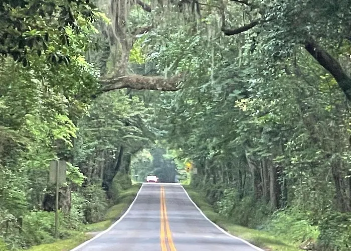 Nature Lover's Dream Apartment Tallahassee